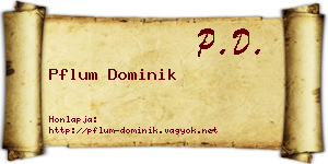 Pflum Dominik névjegykártya